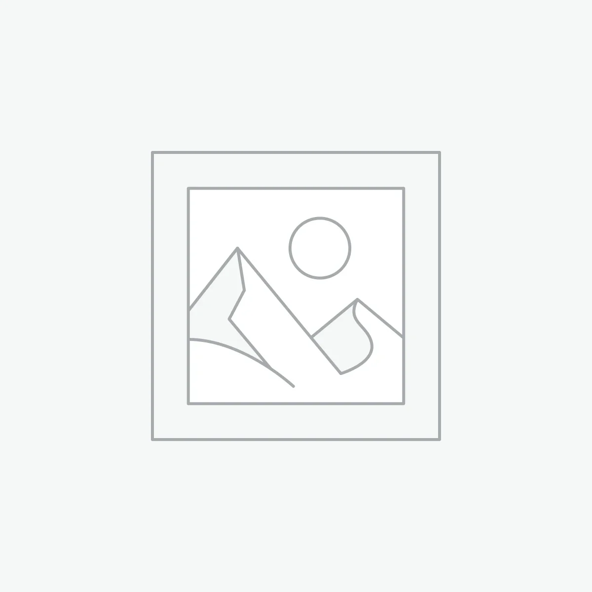 ALPINESTARS BLUSÃO AERON